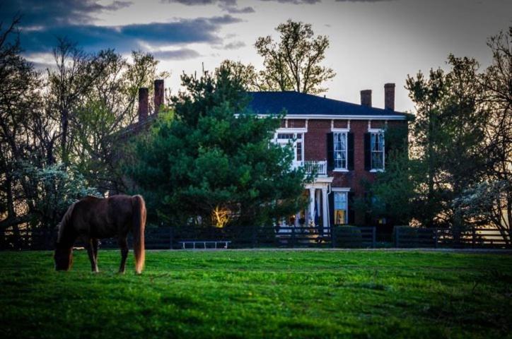 Maple Hill Manor Bed & Breakfast Springfield Esterno foto